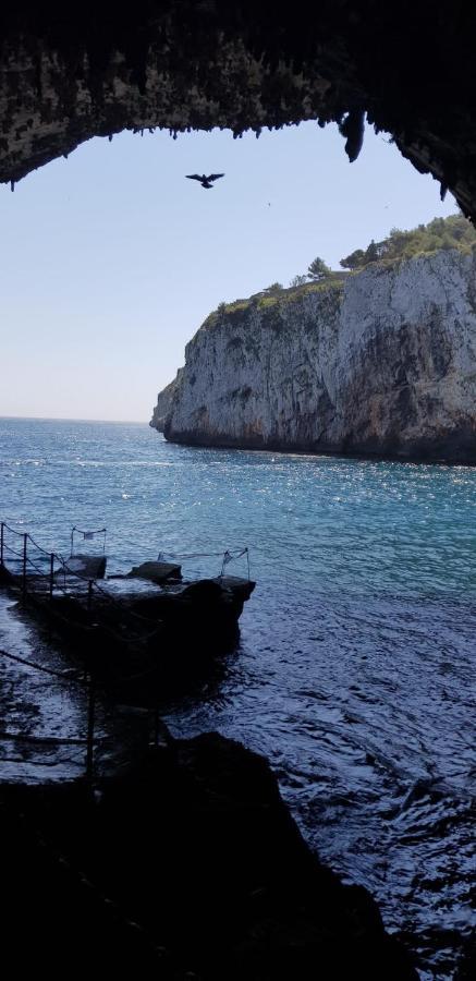 Affittasi Casa Vacanza A Casa Di Emma Leverano Kültér fotó